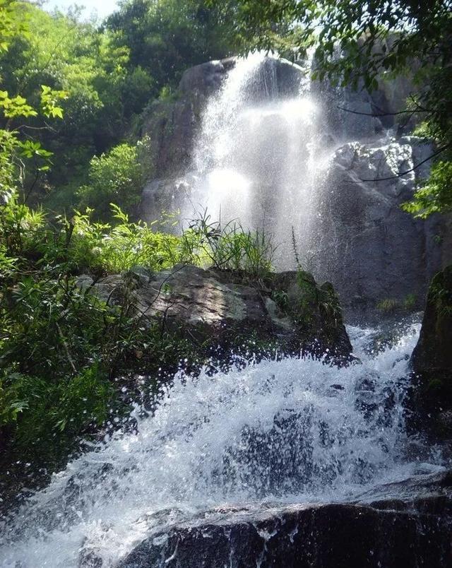 寻找火鸡